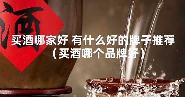 买酒哪家好 有什么好的牌子推荐（买酒哪个品牌好）